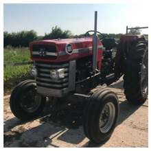 Liam Neal's Massey Ferguson 165